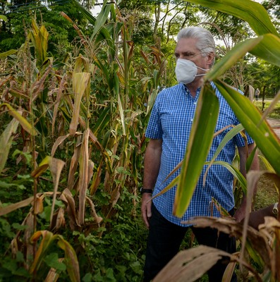 Recorrido por polos productivos de Mayabeque