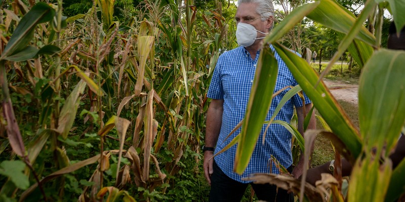 Recorrido por polos productivos de Mayabeque