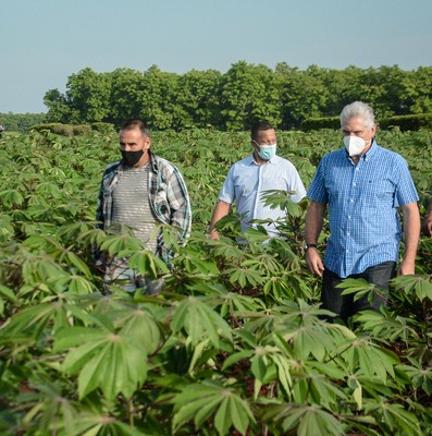 Recorrido por polos productivos de Mayabeque