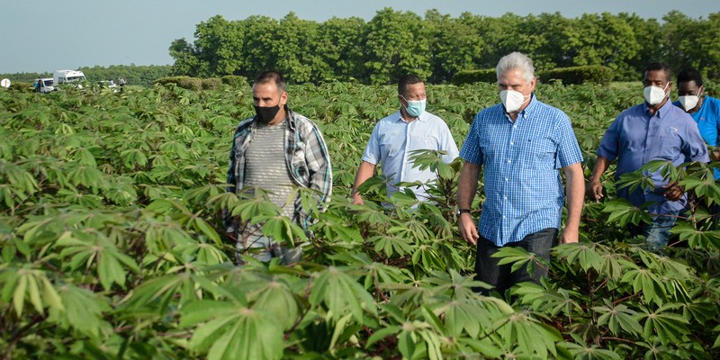 Recorrido por polos productivos de Mayabeque