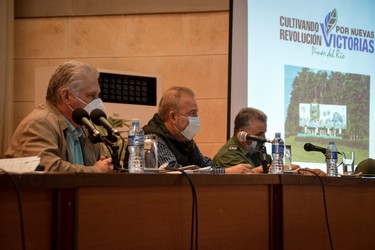 Reunión Pinar 9