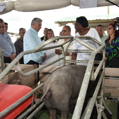 Segunda Visita Gubernamental encabezada por Díaz-Canel a la provincia Mayabeque