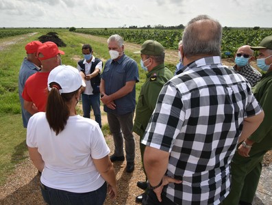 Recorrido por Pinar del Río tras paso del Huracán Ida