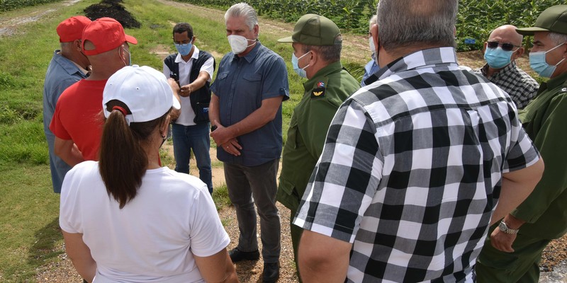 Recorrido por Pinar del Río tras paso del Huracán Ida