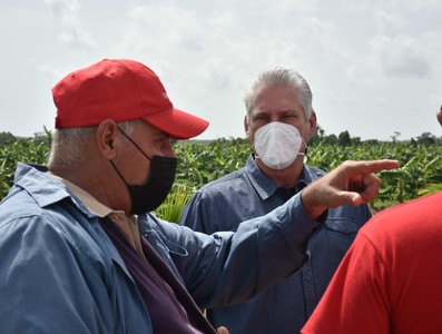 Recorrido por Pinar del Río tras paso del Huracán Ida