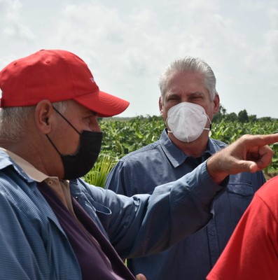 Recorrido por Pinar del Río tras paso del Huracán Ida