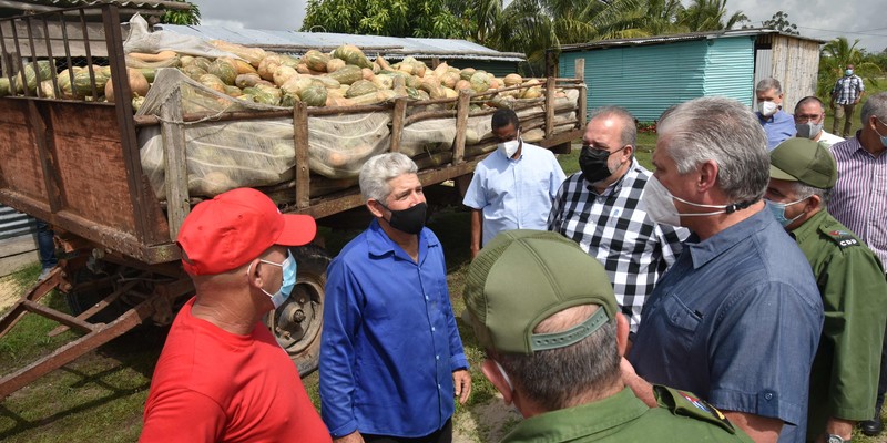 Recorrido por Pinar del Río tras paso del Huracán Ida