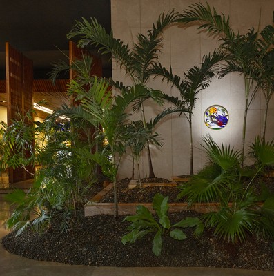 Exposición 