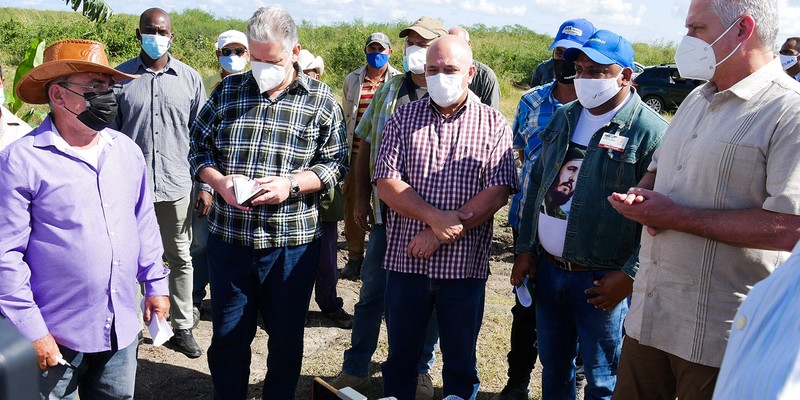 Recorrido de Díaz-Canel por la provincia de Las Tunas