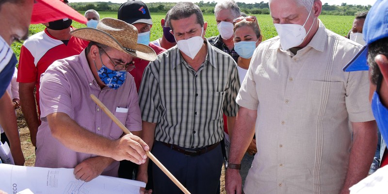 Recorrido de Díaz-Canel por la provincia de Holguín