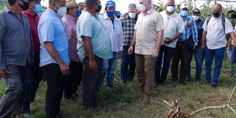 Recorrido de Díaz-Canel por la provincia de Holguín