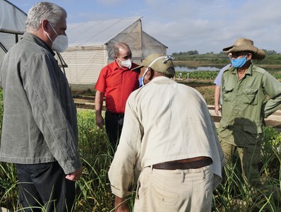Tercera visita Gubernamental a Pinar del Río