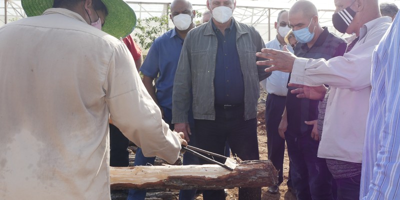 Tercera visita Gubernamental a Pinar del Río