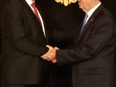 Visita oficial a la República Portuguesa