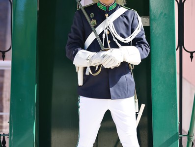 Visita oficial a la República Portuguesa