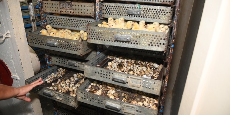 Santa Clara, al encuentro con nuestro pueblo.