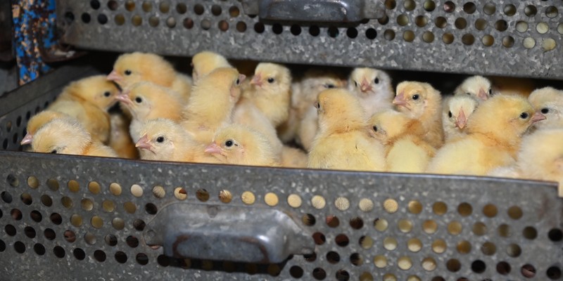 Santa Clara, al encuentro con nuestro pueblo.