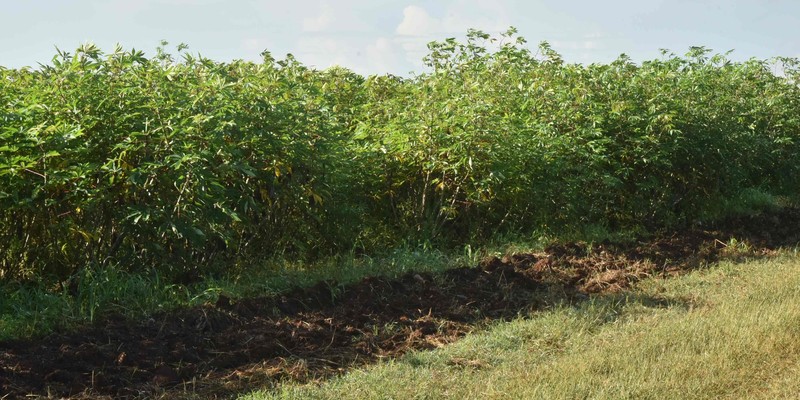 Tercera Visita Gubernamental a la provincia de Villa Clara