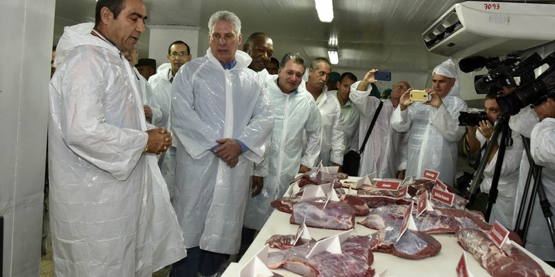 Visita del Consejo de Ministros encabezada por Díaz-Canel a Ciego de Avila