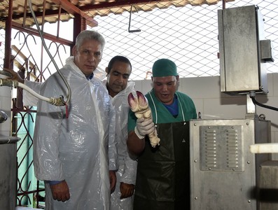 Visita del Consejo de Ministros encabezada por Díaz-Canel a Ciego de Avila