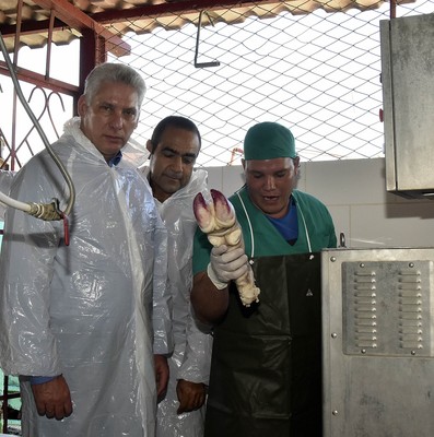Visita del Consejo de Ministros encabezada por Díaz-Canel a Ciego de Avila