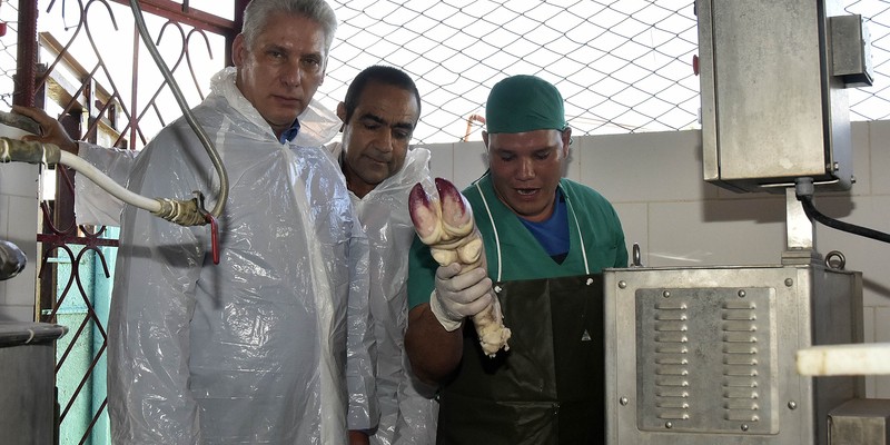 Visita del Consejo de Ministros encabezada por Díaz-Canel a Ciego de Avila