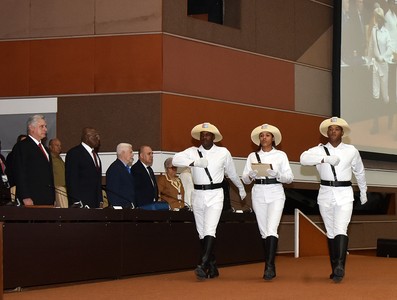 Segunda Sesión Extraordinaria de la IX Legislatura de la Asamblea Nacional del Poder Popular, con motivo de la proclamación de la Constitución de la República